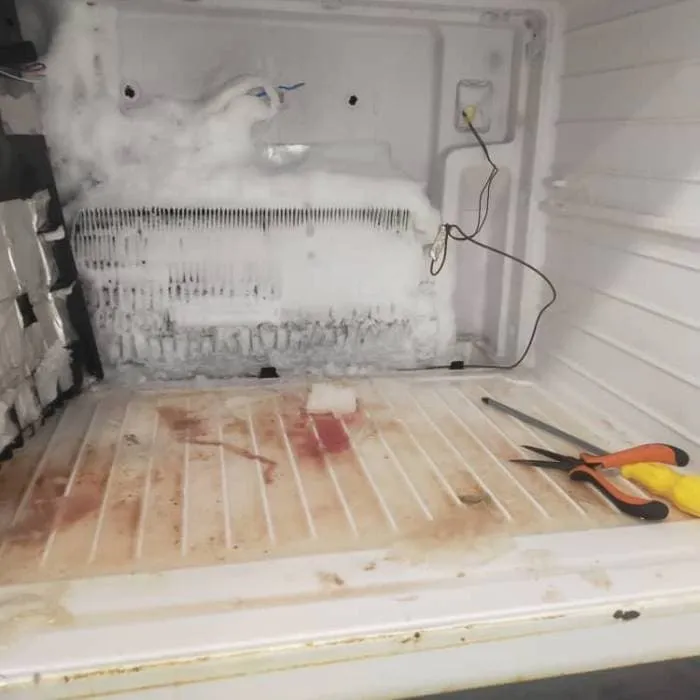 Defrost Service